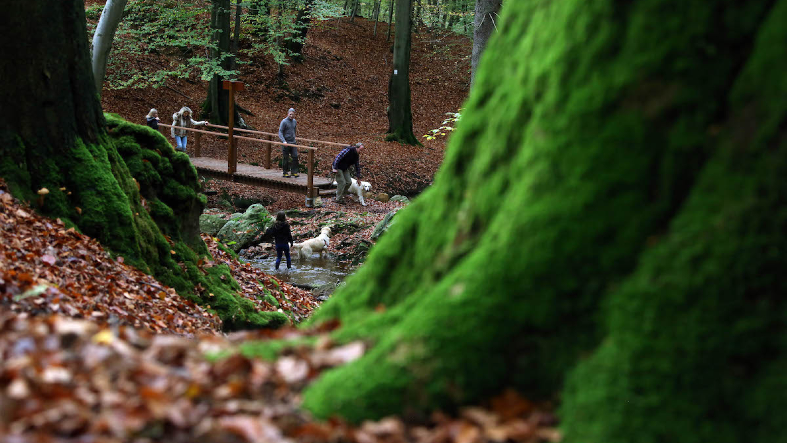 Promenades de nature