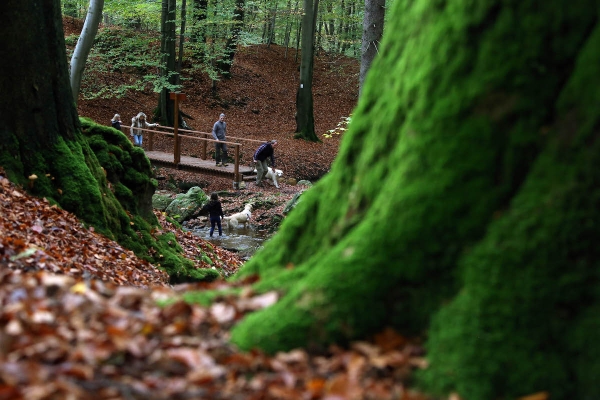 Spaziergänge in der Natur