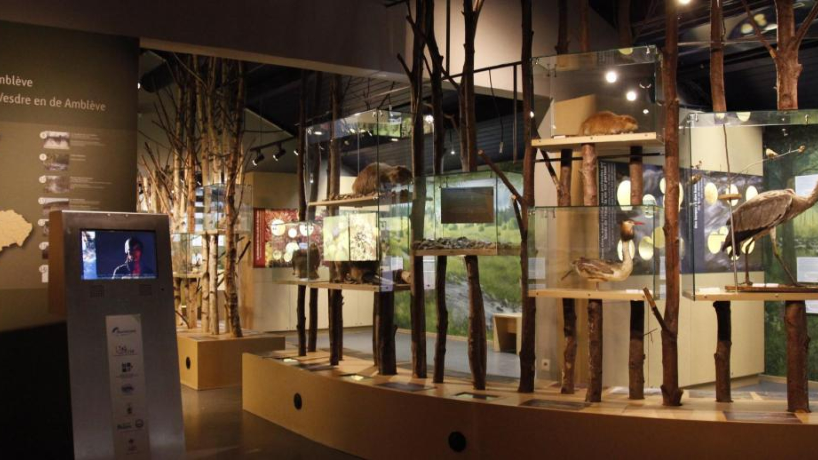 Forest and Water Museum