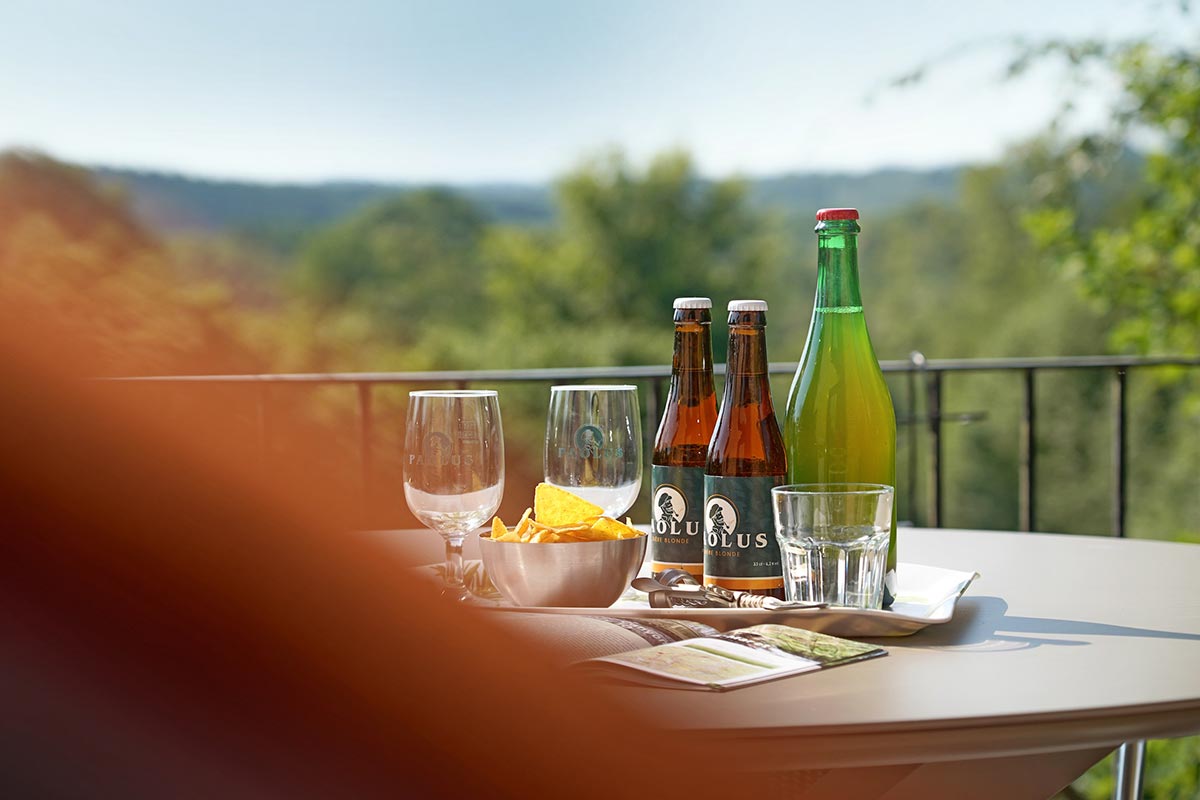 gite-bonheur-de-la-cascade-malmedy-coin-repas-2