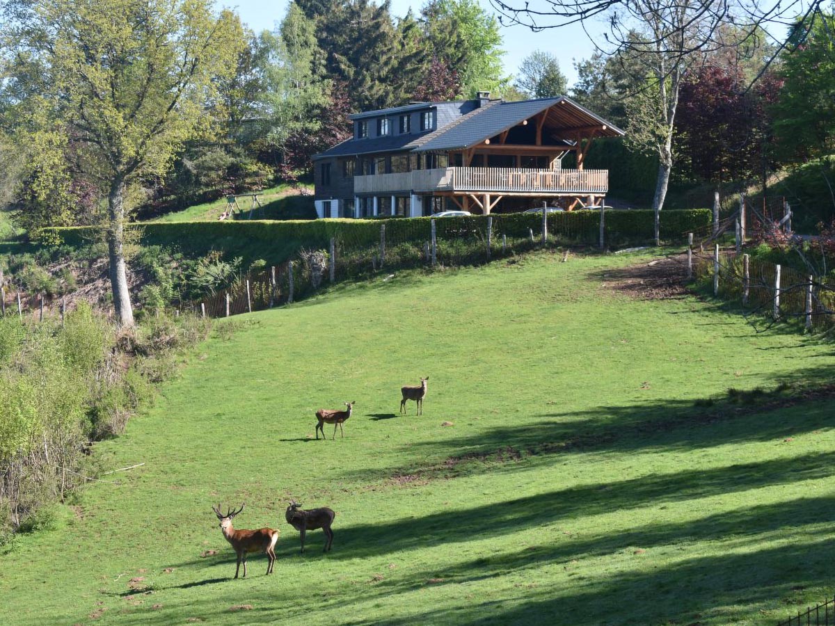 gite-malmedy-harde-parc-a-gibier