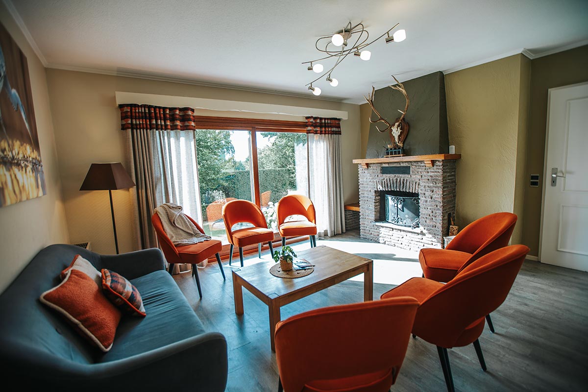 gite-malmedy-heron-salon4
