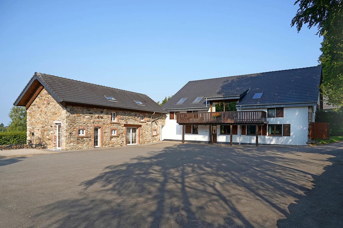 vieux-sanglier-SIQ00404